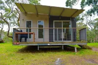Bimbi Park - Camping under Koalas