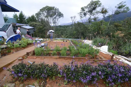 T Paradise Отели рядом с достопримечательностью «Poring Hot Spring and Nature Reserve»