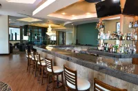 Hotel Plaza Juan Carlos - bar