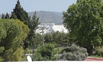 Pamukkale Apollon Garden