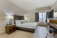 Best Western Plus All Suites Inn - Business