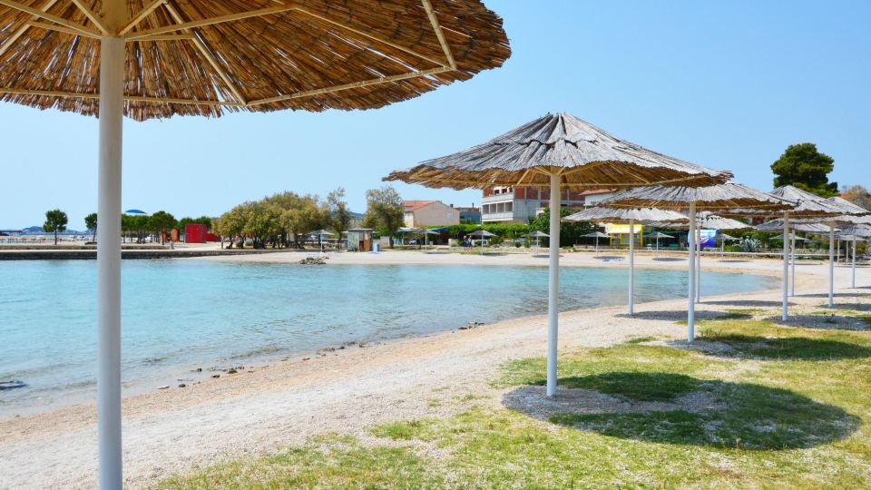 Maslina