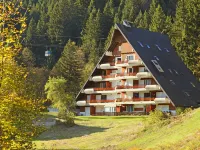 Anémone 2/16 Hotels in Gryon