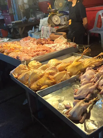 รูปภาพของแบ็คแพ็ค สเตชั่น - โฮสเทล