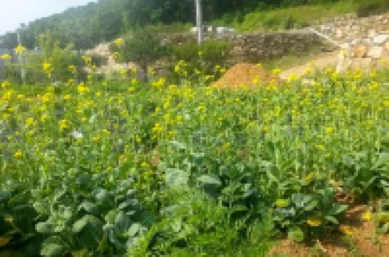 Yangju Jangheung Healing Pension