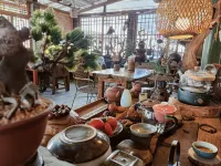 Tea  House - suối nước nóng