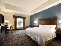 希爾頓歡朋酒店-西門羅 西門羅酒店