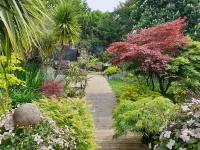 Tropical Garden Oasis Rooms