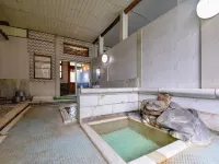 Yanagiya Ryokan - Hot Springs