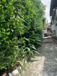 Finca Hotel Chalet Santa Ines