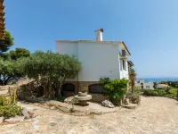 Les Oliveres