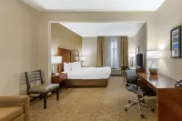 Comfort Inn & Suites Jerome - Twin Falls - parking