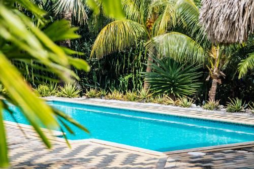 Hotel Droom Appartementen, Leisure & Recreation, Outdoor Swimming Pool