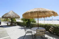 Barefoot Beach Club Hotels in Madeira Beach