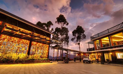Chandys Drizzle Drops - Munnar Top Station