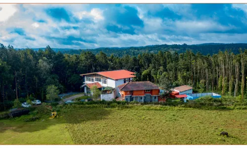 Coffee Grove Resort