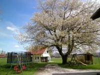 5 star apartment "Sissi" with heated pool & fantastic panorama Hotels in Übersee