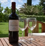 House with garden in the Tuscan countryside Hotel a Scarlino