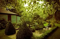 Lakeside Grove Cottage -  Perfect Lakeside Village/Beach Location