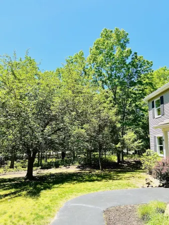 Hampton's Indulge: Beaches, Restaurants, wineries, Breweries and Night Life.