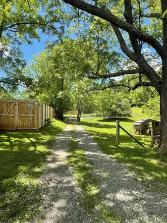 Beautiful home, walk into downtown, hot tub, dog friendly, Huge yard, fire pits.