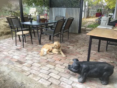 Pyrenees Farm Stay AmphitheatrePet friendly) Bed and Breakfast.