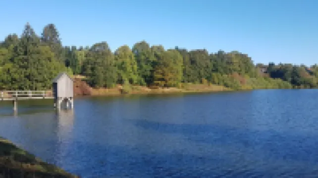 GLÜCKSKLEE at the foot of the Bocksberg - Central Modern Cozy (60sqm, 3 balconies)