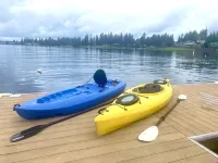 Lakefront Studio Cabin & Tiki Hut. Enjoy Summer Fun and Winter Serenity!