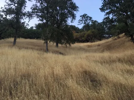 Mountaintop open home living-pool, hot tub & views! Отели рядом с достопримечательностью «Сарацина Вайнярдс»