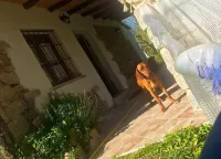 Cottage in Sardegna Barbagia