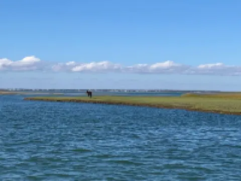 Beaufort Star! Hotels in Beaufort