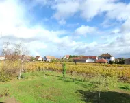 Gîte Cosy Entre Vignes et Vergers