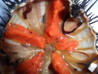 DOMUS GIRASOLI - VACATIONS SEA MOVIDA RELAX - 5 PL 5 MINUTES FROM GALLIPOLI