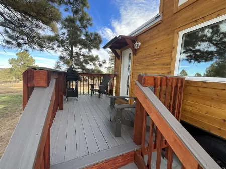 Cozy brand new tiny home! Amazing experience