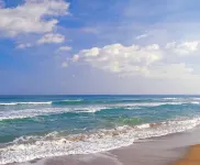 Lakeview Cottage, walk to the beach, parks and downtown. Early booking discount!