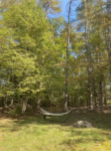 THE HIDDEN COTTAGE Private, Relaxing, Great Location, Has Everything You Need