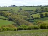 Country Cottage Near Boscastle, Situated Amid the Beautiful Cornish Countryside