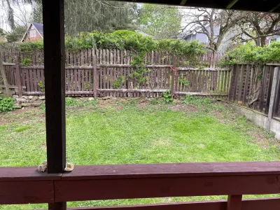 Quaint 2 bedroom apartment. 5 minute walk to down town Close to local bike trail