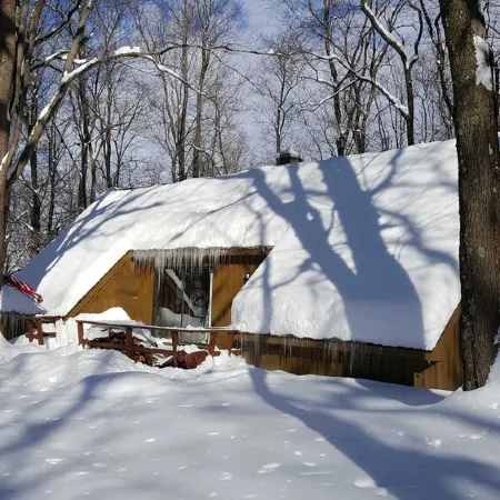 Seven Springs Cabin - Luna Chalet - Authentic, Pet Friendly Log Cabin
