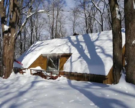 Seven Springs Cabin - Luna Chalet - Authentic, Pet Friendly Log Cabin Hotels in Donegal Township