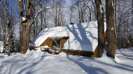 Seven Springs Cabin - Luna Chalet - Authentic, Pet Friendly Log Cabin