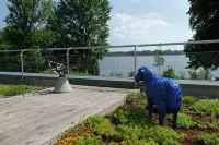 House on the Havelbogen directly on the water with canoe and jetty, terrace apartment Hotels in Werder