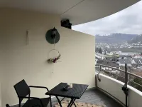 Gemütliche Ferienwohnung mit Talblick Hotels in Epfendorf