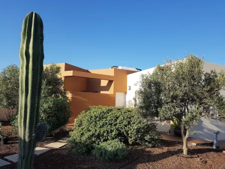 House with pool between gardens and olive farm. Отели в г. Максората