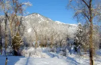 Private home, creek, pond, serene, quiet, breathtaking landscape