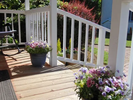 Cozy Cottage on family hazelnut farm in beautiful Willamette Valley