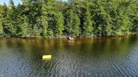 Quintessential Maine cabin w/ private waterfront