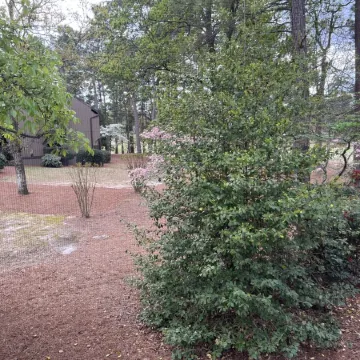 Charming Pinehurst Golf Front Condo
