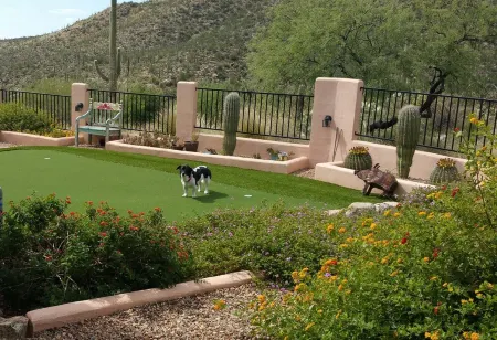 AWESOME Sunsets by the Heated Pool, putting green, hot tub & Tucson Night Lights