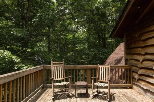 Sleeps 11! 5BR/2.5BA LRG Log Cabin on 5 Acres, Close to Hendo/AVL, TWO Kitchens! Hotels in Mountain Home